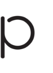 Platform Architect logo